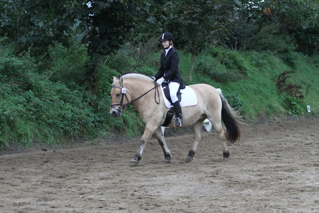 Bild 404 - WBO-Turnier am 18.9.11